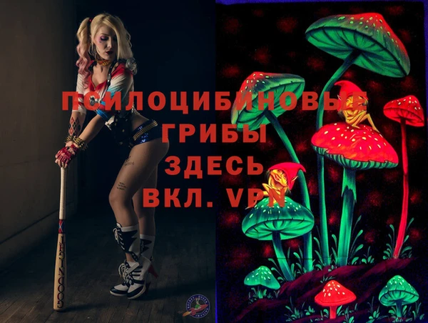 a pvp Горнозаводск