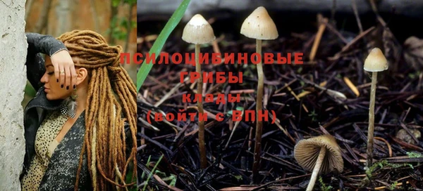 скорость Горняк