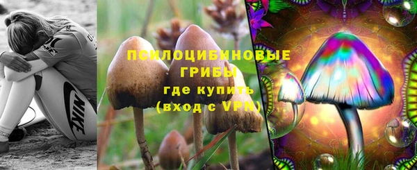 a pvp Горнозаводск