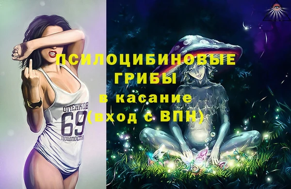 a pvp Горнозаводск